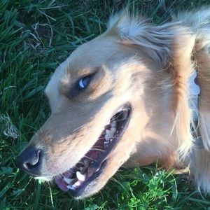 Meet your Posher, Cynthia